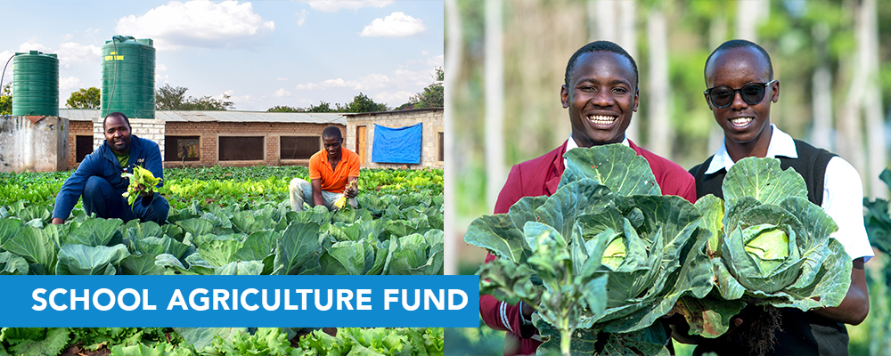 School Agriculture Fund